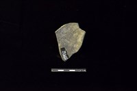 陶片藏品圖，第2張